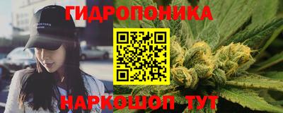 apvp Свободный