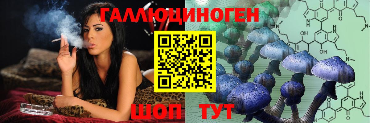 Псилоцибиновые грибы GOLDEN TEACHER Серпухов